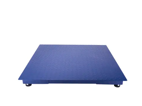 Floor Scale